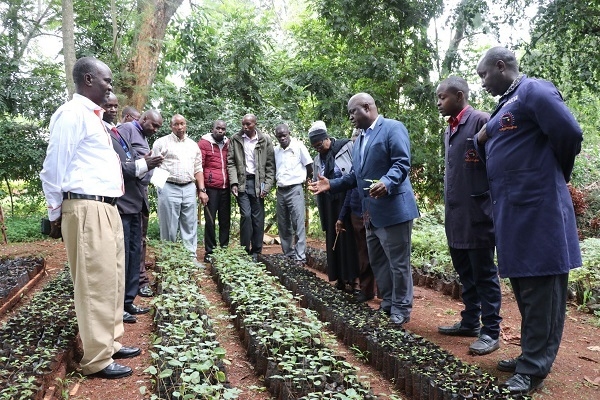 Dr. Robert Nyambati- Kenya Forestry Research Institute (KEFRI) facilitating CEMASTEA staff on tree nursery management in the centre